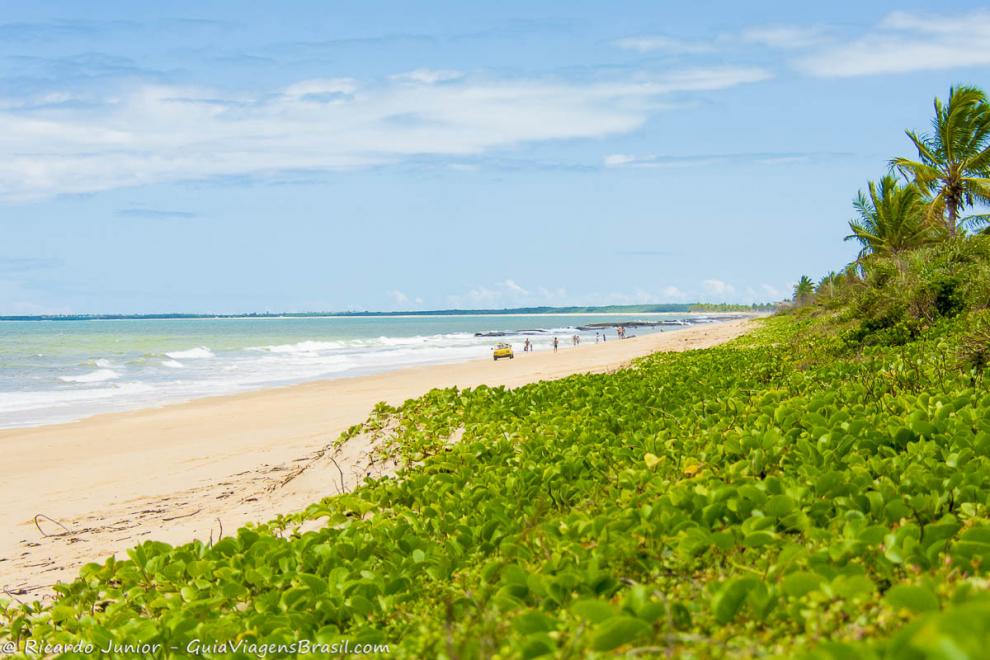 Imagem de vegetação rasteira de buggy amarelo pelas areias da Praia de Caraiva.